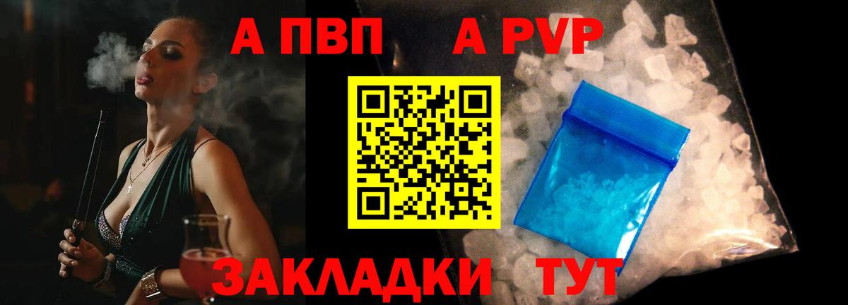 Альфа ПВП СК КРИС Назрань