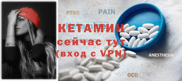 шишки Няндома