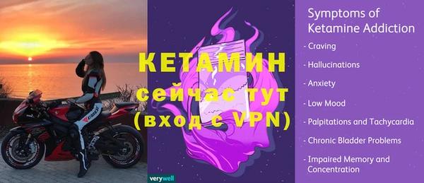 шишки Няндома