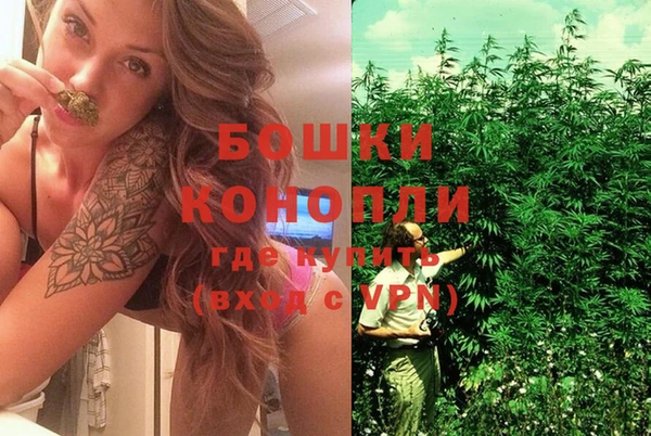 шишки Няндома