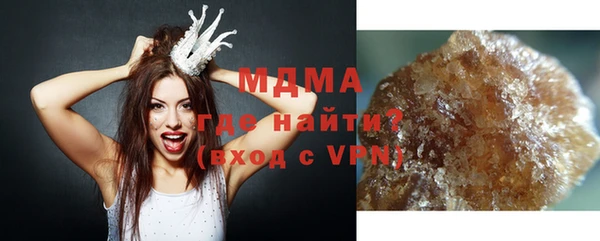 шишки Няндома