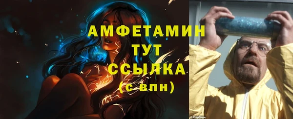 шишки Няндома