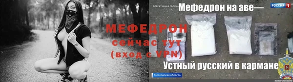 шишки Няндома