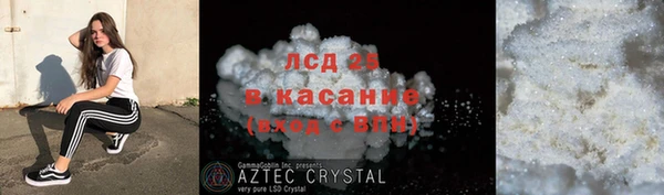 шишки Няндома