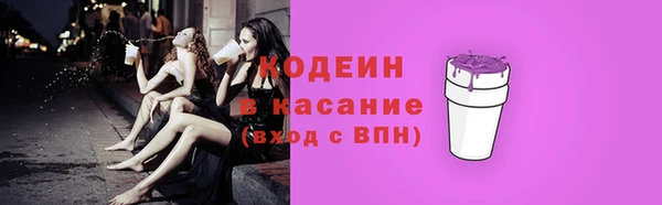 шишки Няндома