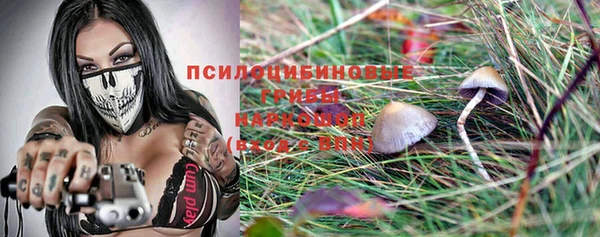 шишки Няндома