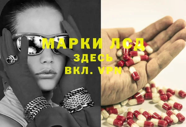 шишки Няндома
