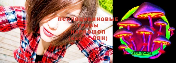 МДПВ Нязепетровск