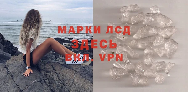 шишки Няндома