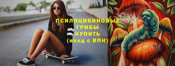 шишки Няндома