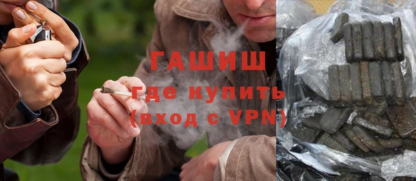 шишки Няндома
