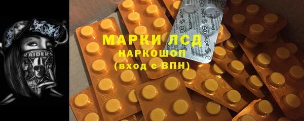 шишки Няндома