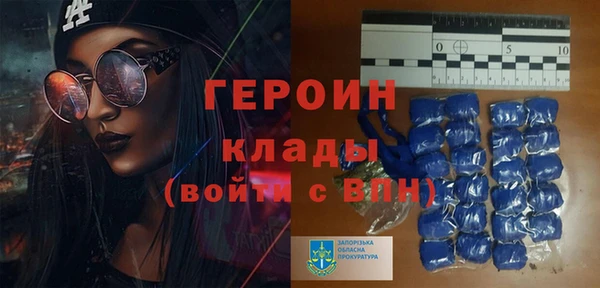 шишки Няндома