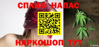 гидра Гусиноозёрск