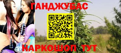 гидра Гусиноозёрск