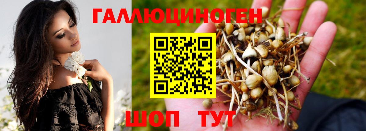 Псилоцибиновые грибы ЛСД Назрань